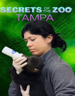 Secrets of the Zoo: Tampa